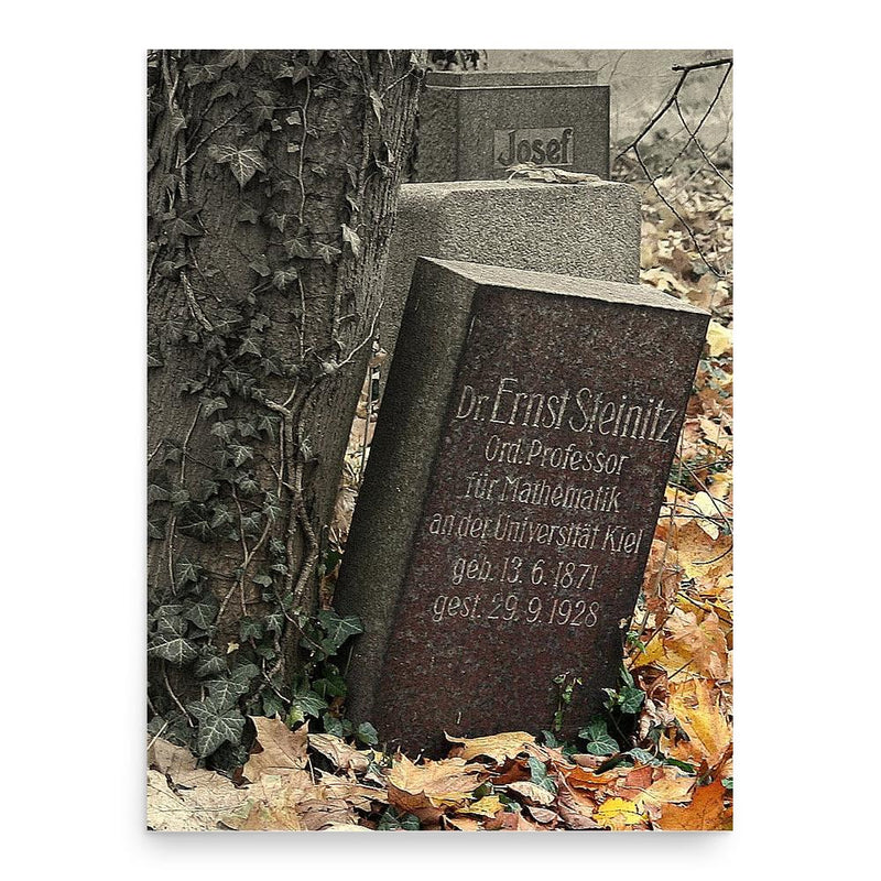 Ernst Steinitz poster print, in size 18x24 inches.