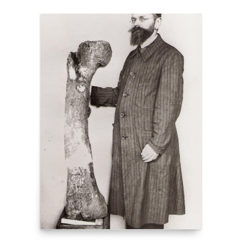 Ernst Stromer poster print, in size 18x24 inches.