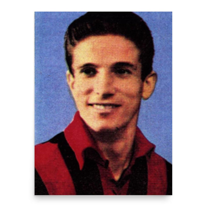 Eros Beraldo poster print, in size 18x24 inches.