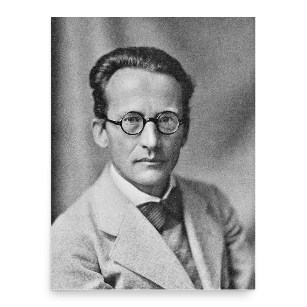 Erwin Schrödinger poster print, in size 18x24 inches.