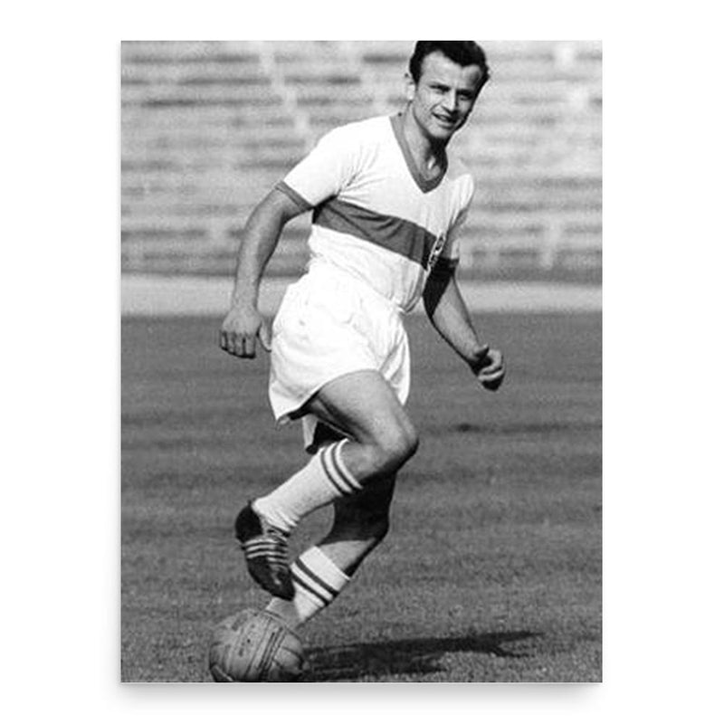 Erwin Waldner poster print, in size 18x24 inches.