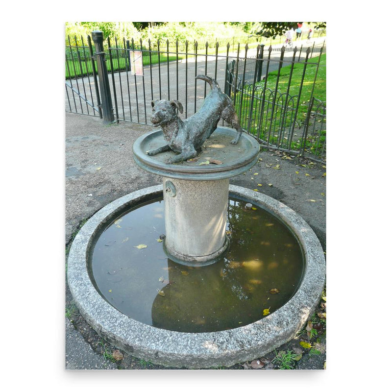 Esme Percy poster print, in size 18x24 inches.