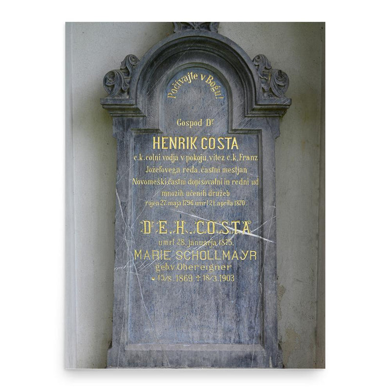 Etbin Henrik Costa poster print, in size 18x24 inches.
