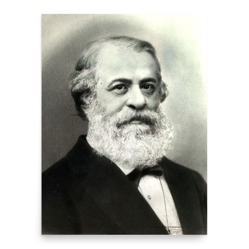 Eudoxiu Hurmuzachi poster print, in size 18x24 inches.