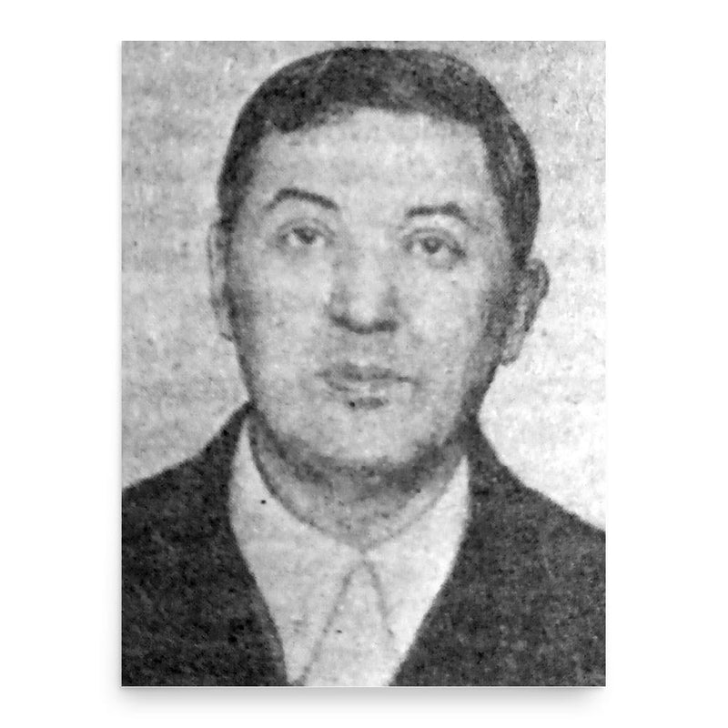 Eugen Cristescu poster print, in size 18x24 inches.