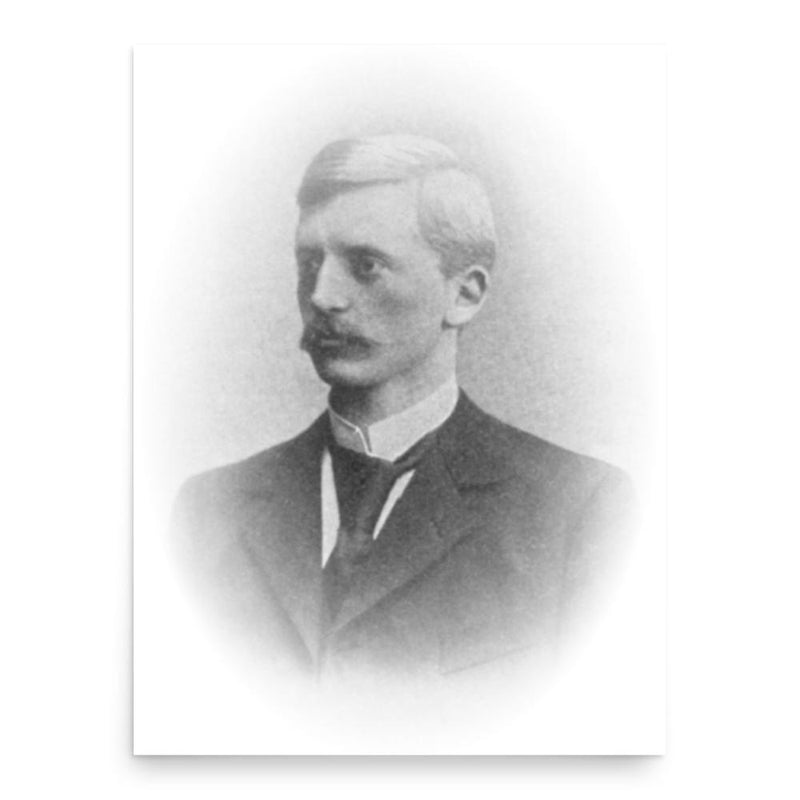 Eugen Schauman poster print, in size 18x24 inches.