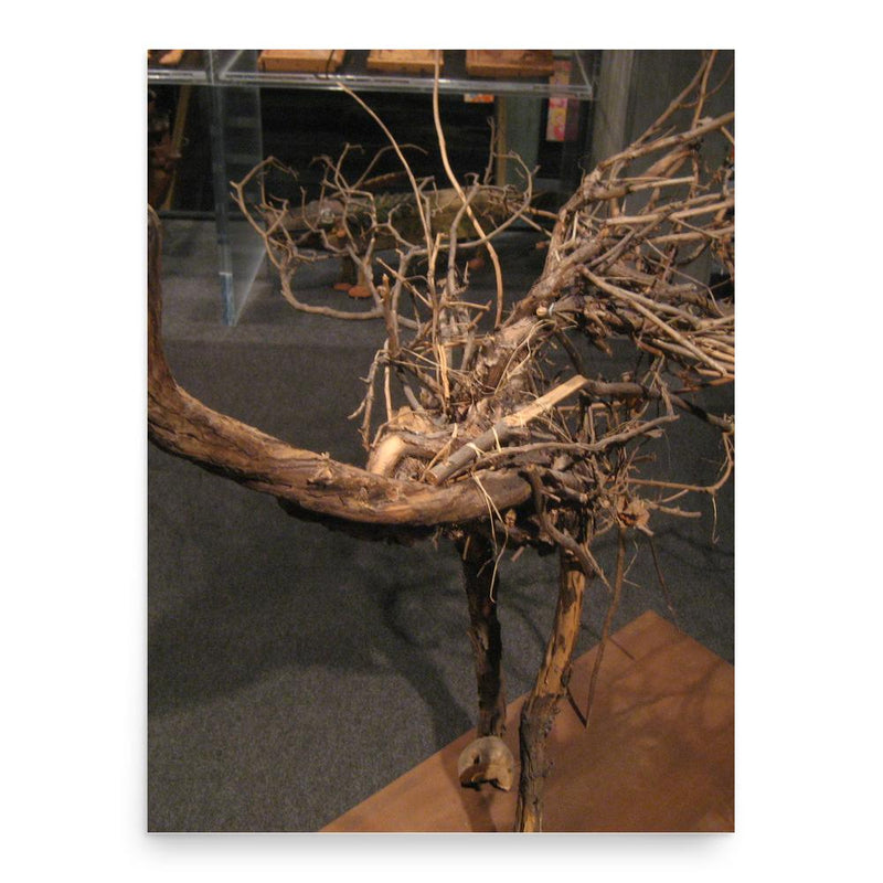 Eugenio Santoro poster print, in size 18x24 inches.