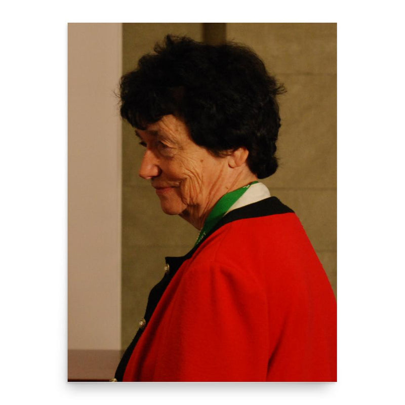 Eva Selin Lindgren poster print, in size 18x24 inches.