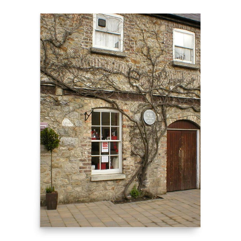 Evie Hone poster print, in size 18x24 inches.