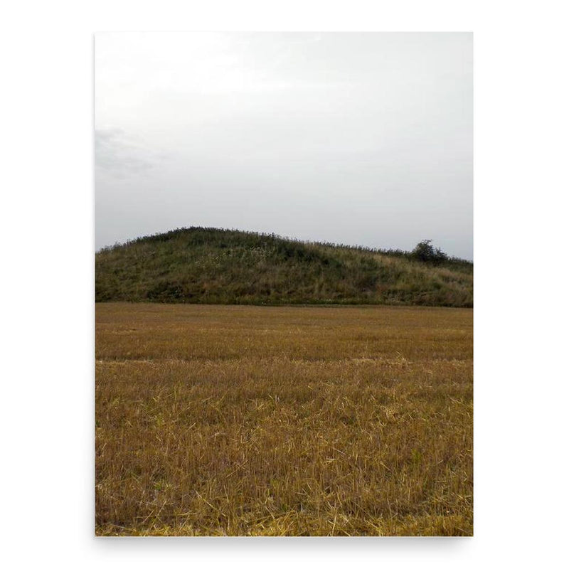 Eysteinn poster print, in size 18x24 inches.