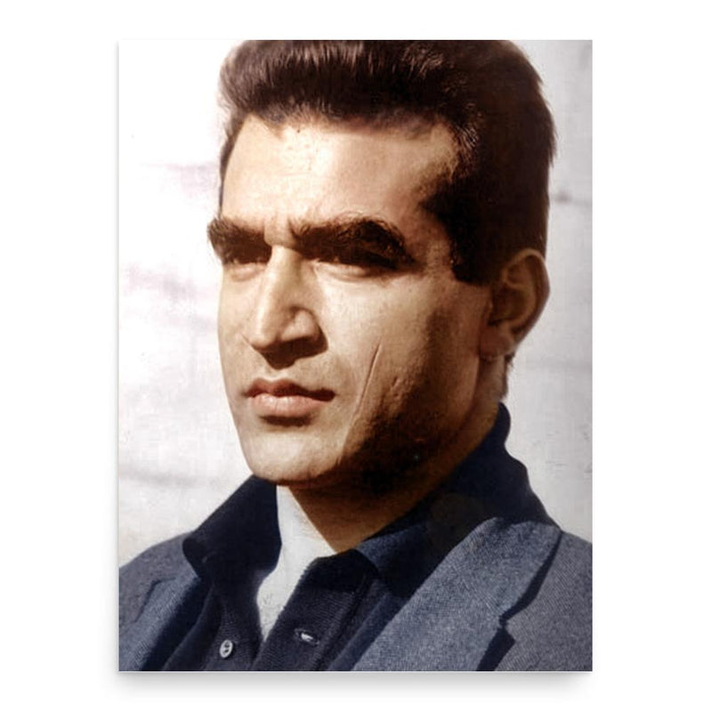 FM-2030 poster print, in size 18x24 inches.