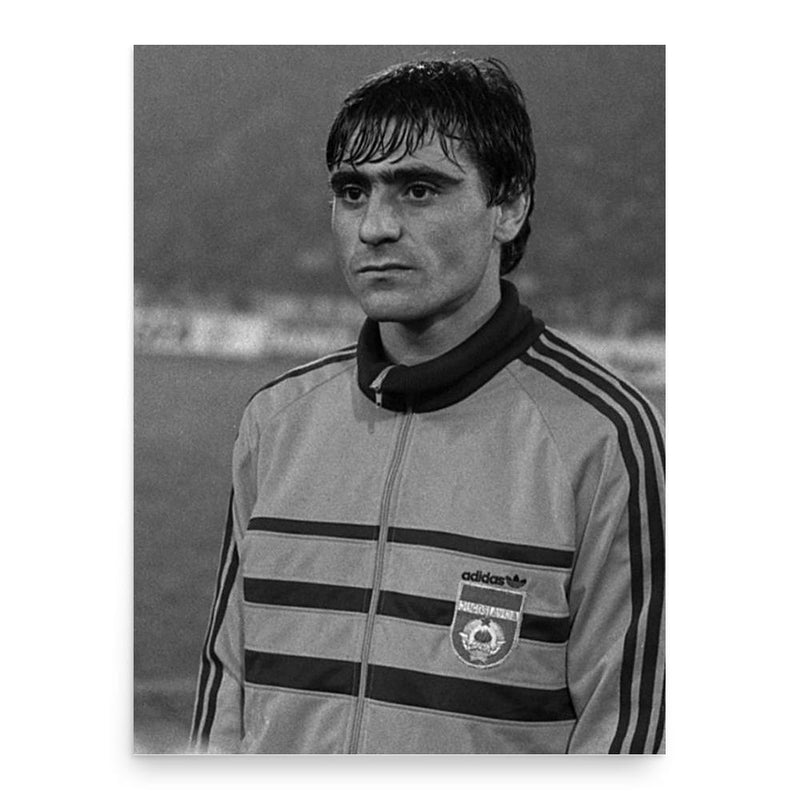 Fadil Vokrri poster print, in size 18x24 inches.