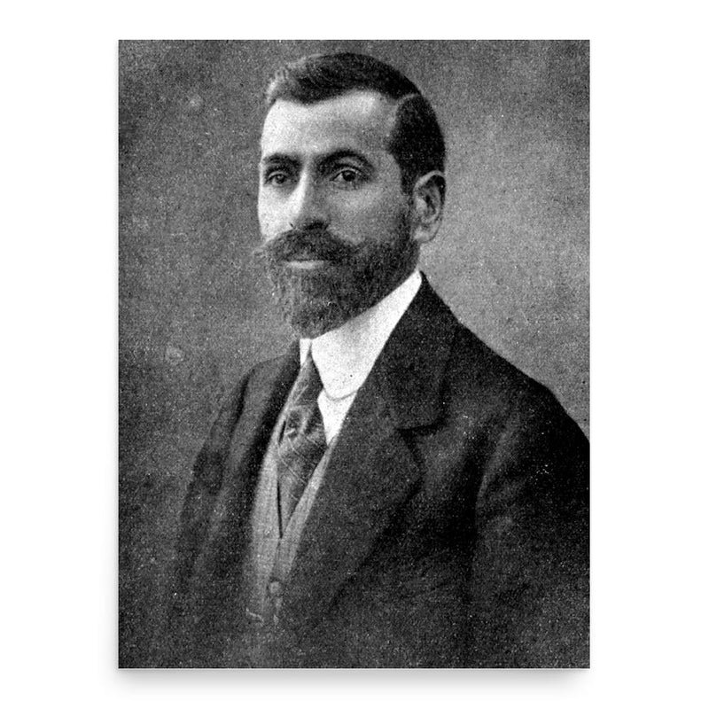 Faik Ali Ozansoy poster print, in size 18x24 inches.