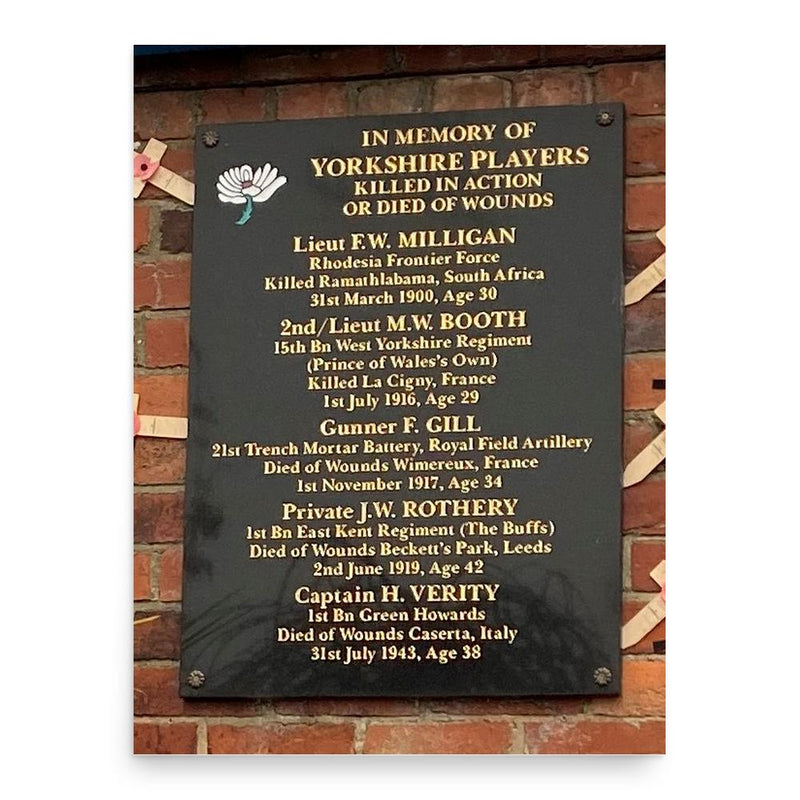 Fairfax Gill poster print, in size 18x24 inches.