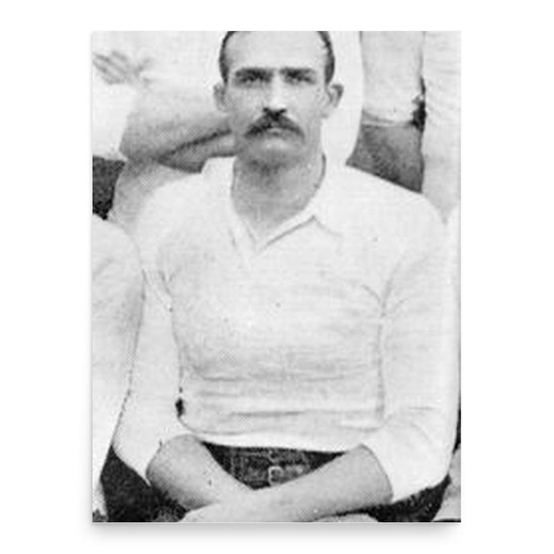 Fairy Heatlie poster print, in size 18x24 inches.