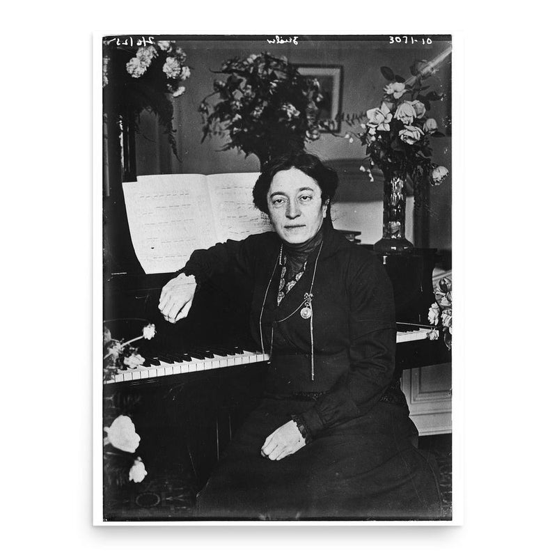 Fannie Bloomfield Zeisler poster print, in size 18x24 inches.