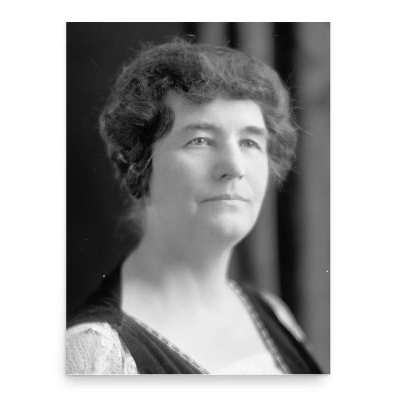 Fannie Fern Andrews poster print, in size 18x24 inches.