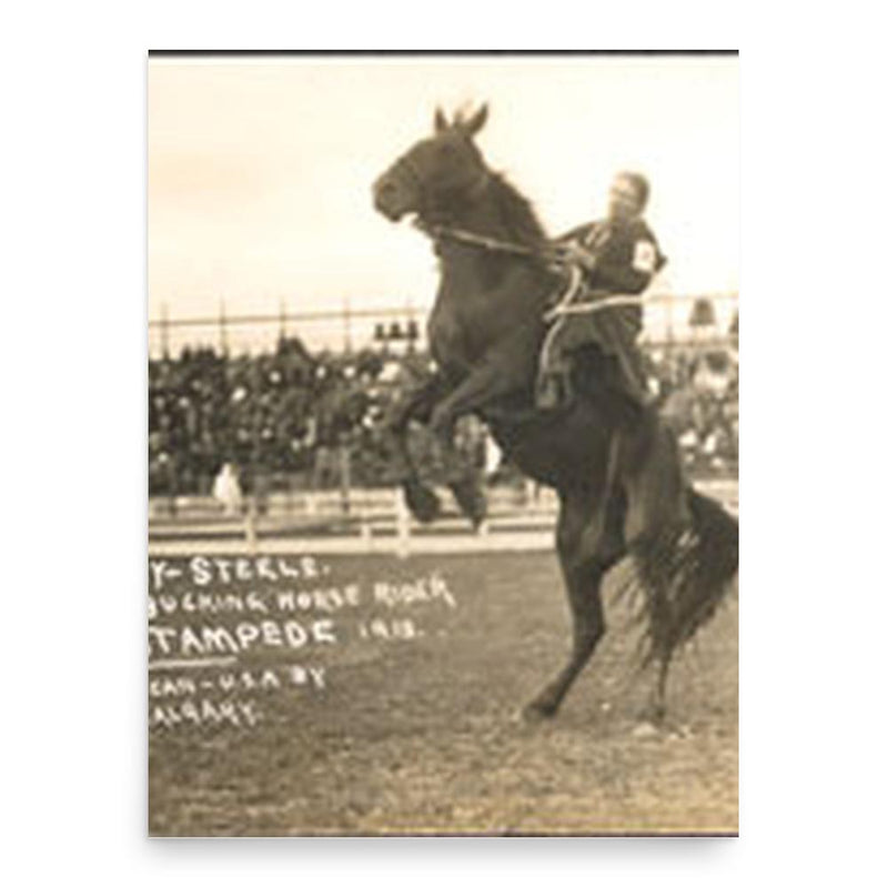 Fannie Sperry Steele poster print, in size 18x24 inches.