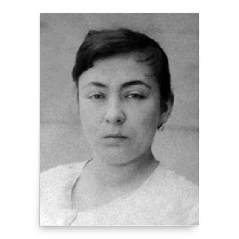 Fatma Aliye Topuz poster print, in size 18x24 inches.