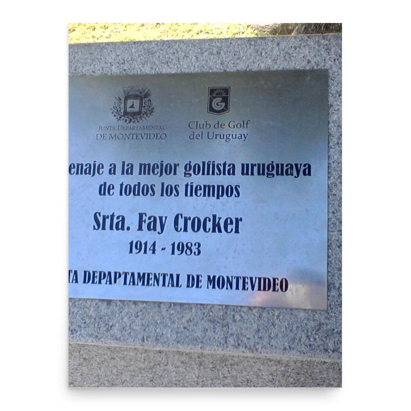 Fay Crocker poster print, in size 18x24 inches.