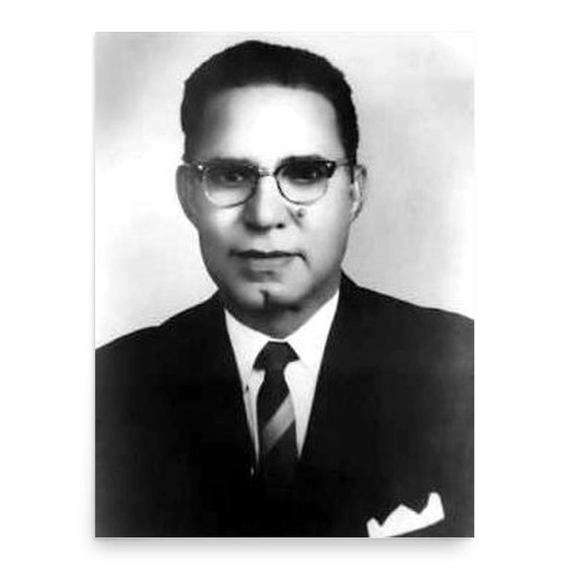 Fazal Ilahi Chaudhry poster print, in size 18x24 inches.