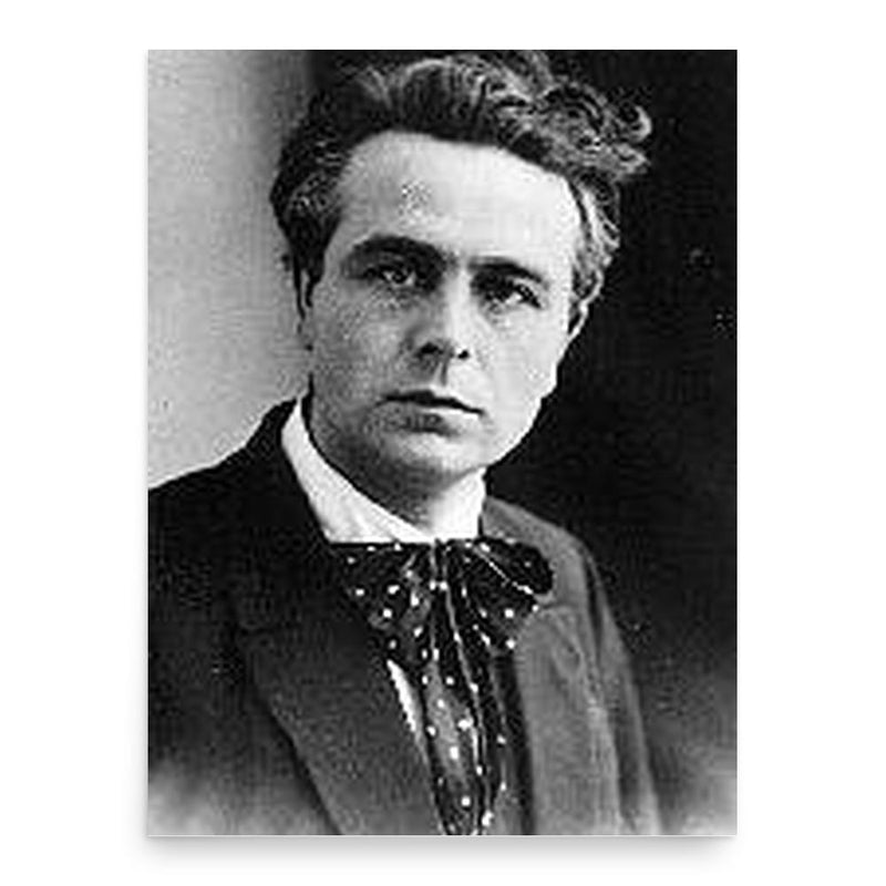 Fedde Schurer poster print, in size 18x24 inches.