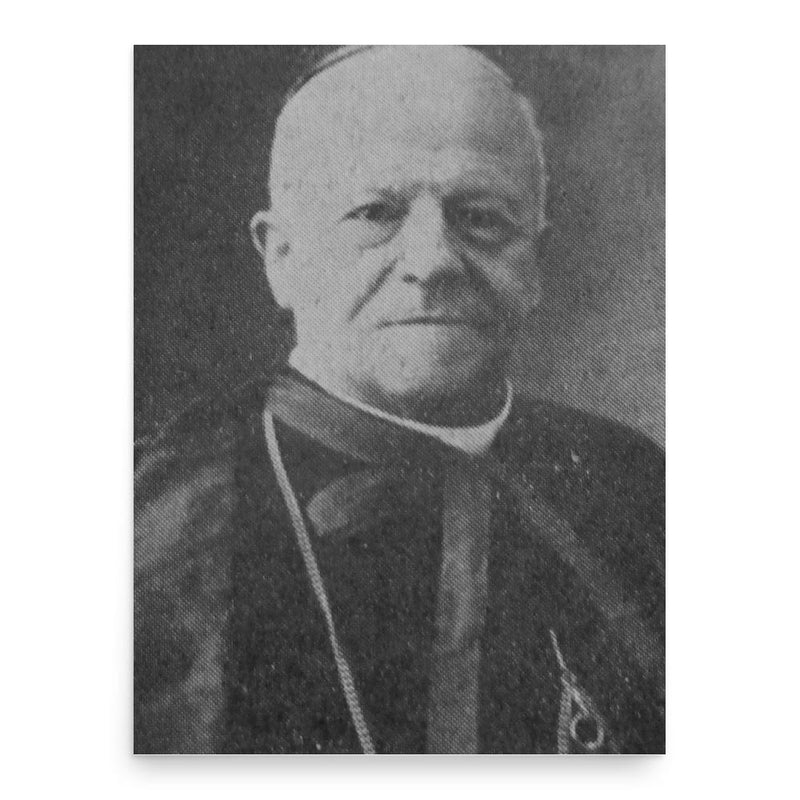 Federico Cattani Amadori poster print, in size 18x24 inches.