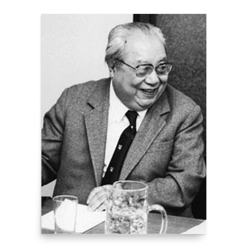 Fei Xiaotong poster print, in size 18x24 inches.