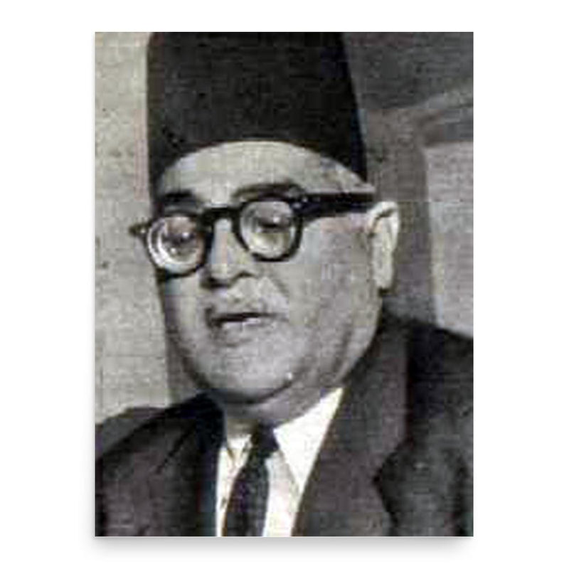 Fekry Abaza poster print, in size 18x24 inches.