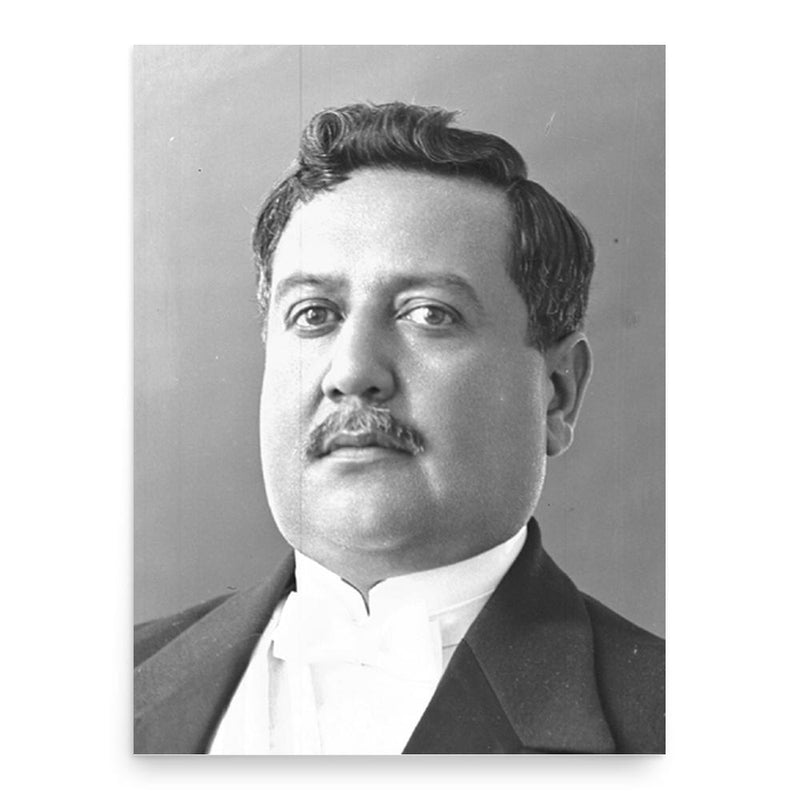 Feliciano Viera poster print, in size 18x24 inches.