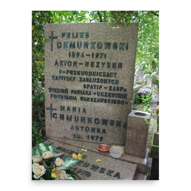 Feliks Chmurkowski poster print, in size 18x24 inches.