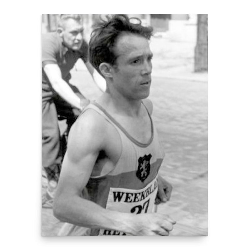 Felix Meskens poster print, in size 18x24 inches.