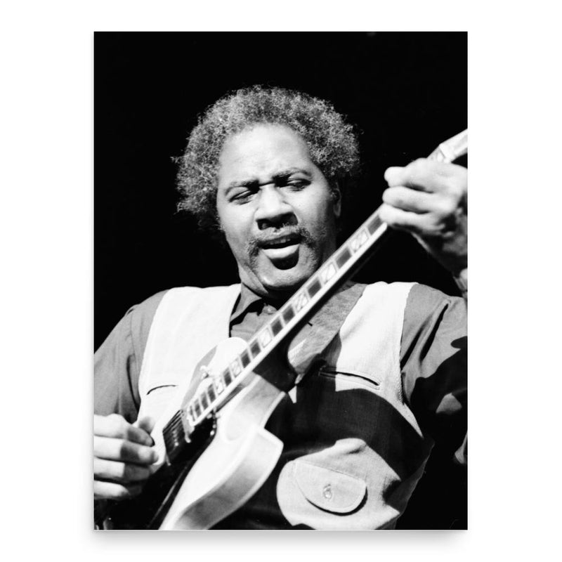 Fenton Robinson poster print, in size 18x24 inches.