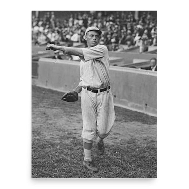 Ferdie Schupp poster print, in size 18x24 inches.