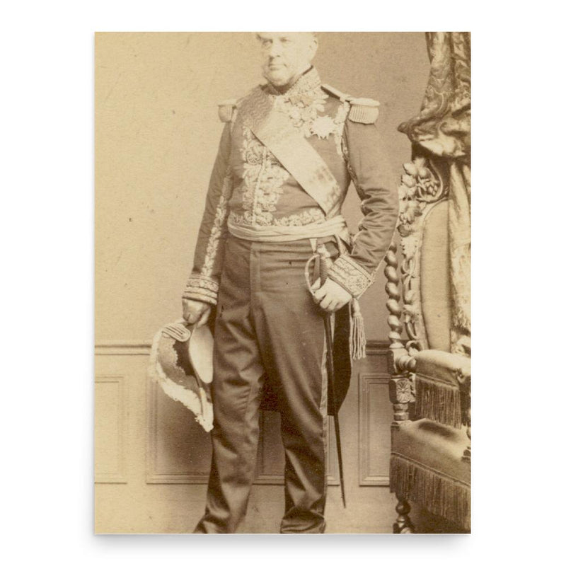 Ferdinand-Alphonse Hamelin poster print, in size 18x24 inches.