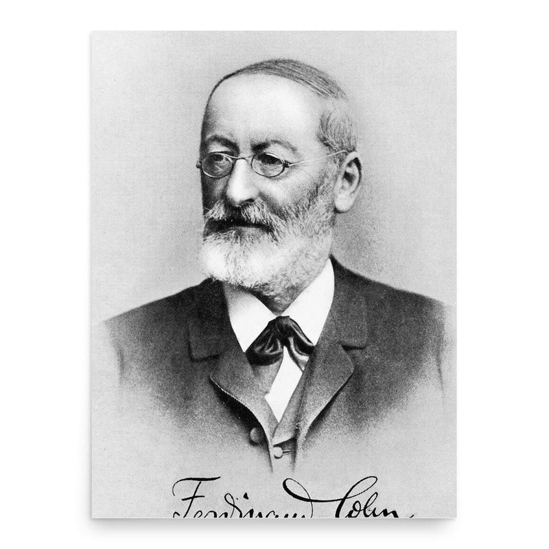Ferdinand Cohn poster print, in size 18x24 inches.