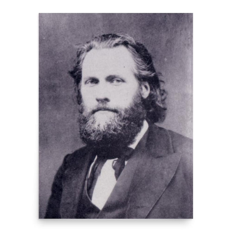 Ferdinand Domela Nieuwenhuis poster print, in size 18x24 inches.