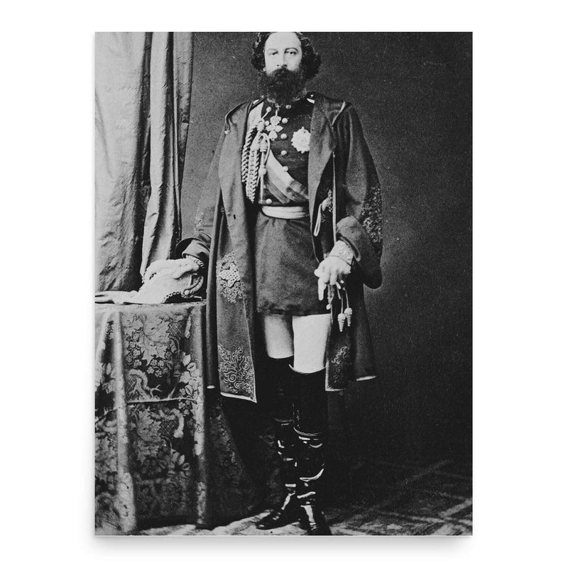 Ferdinand II of Portugal poster print, in size 18x24 inches.