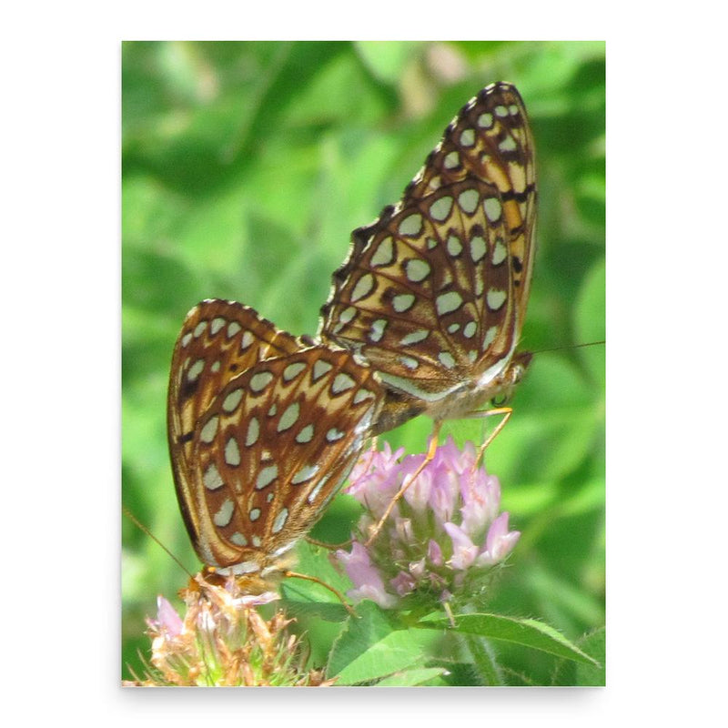 Ferdinand Larose poster print, in size 18x24 inches.