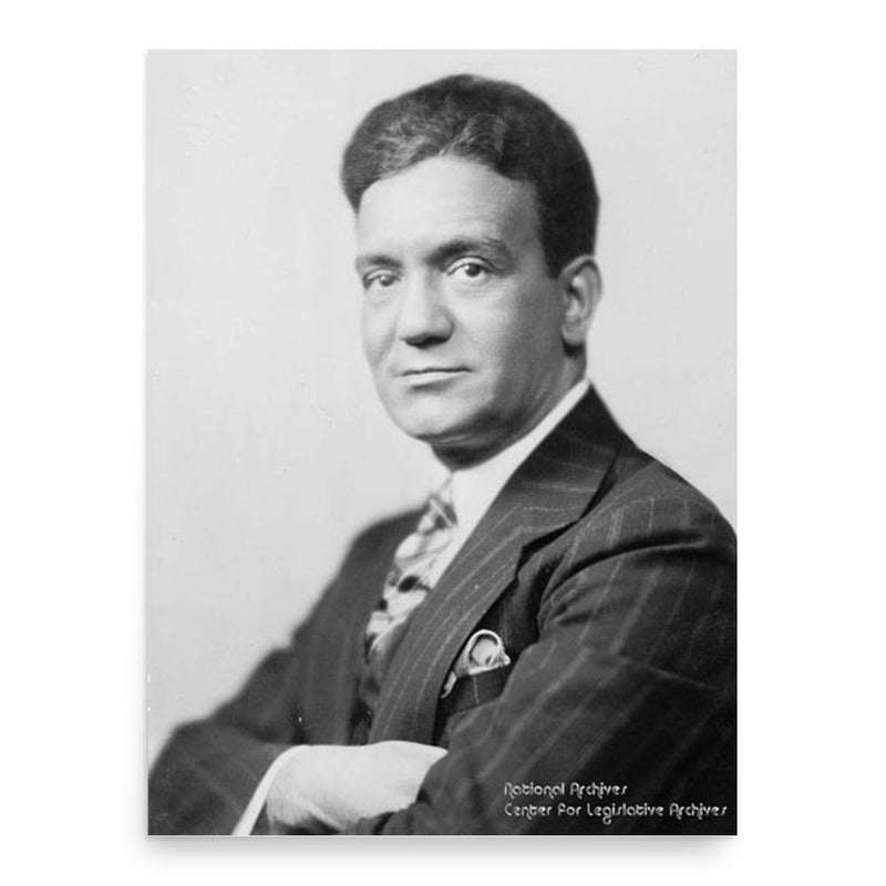 Ferdinand Pecora poster print, in size 18x24 inches.