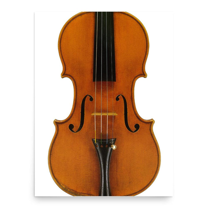 Ferdinando Garimberti poster print, in size 18x24 inches.