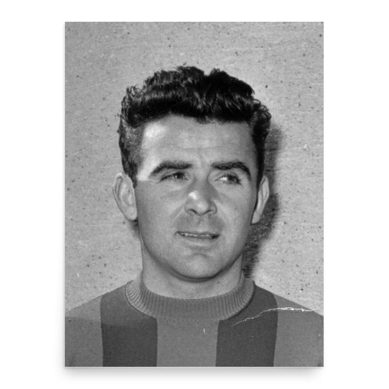 Ferdinando Riva poster print, in size 18x24 inches.