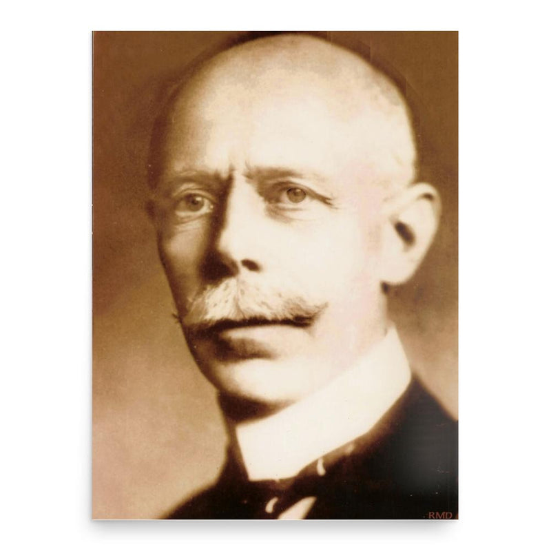 Ferenc Finkey poster print, in size 18x24 inches.