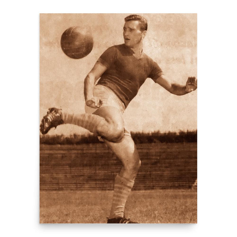 Ferenc Machos poster print, in size 18x24 inches.