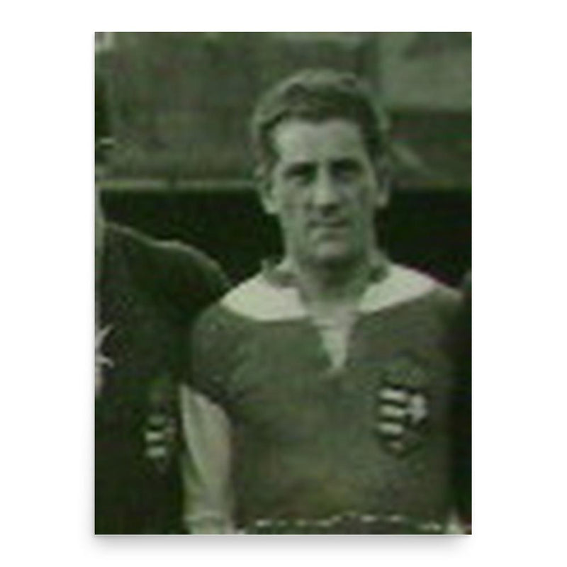 Ferenc Sas poster print, in size 18x24 inches.