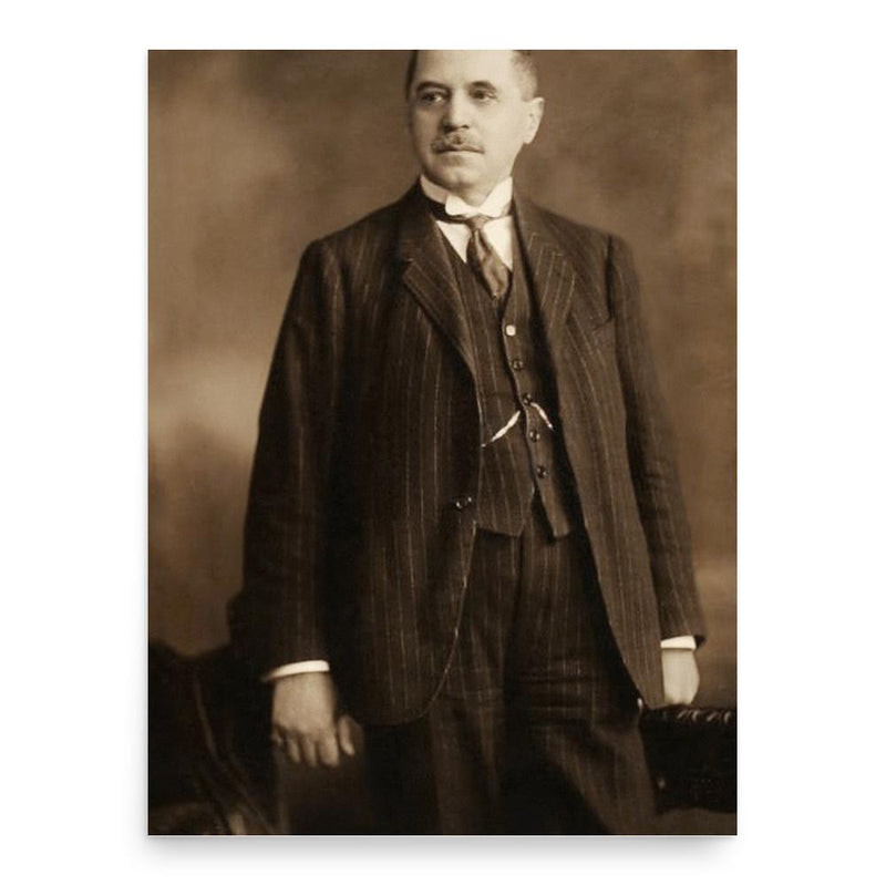 Ferenc Schnetzer poster print, in size 18x24 inches.