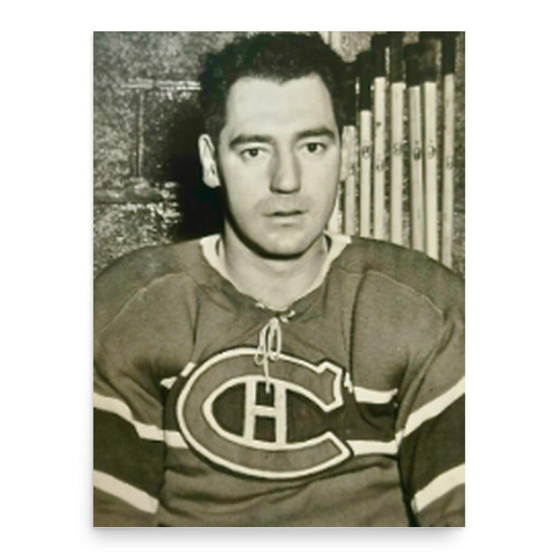 Fern Majeau poster print, in size 18x24 inches.