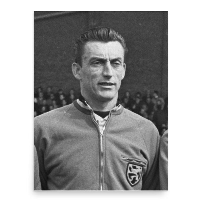 Fernand Boone poster print, in size 18x24 inches.