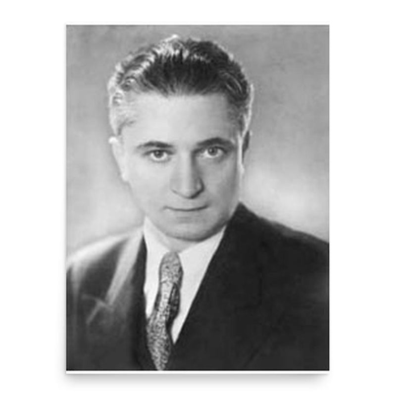 Fernand Braudel poster print, in size 18x24 inches.