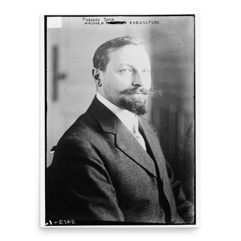 Fernand David poster print, in size 18x24 inches.